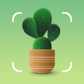 Plantum Plant Identifier.png