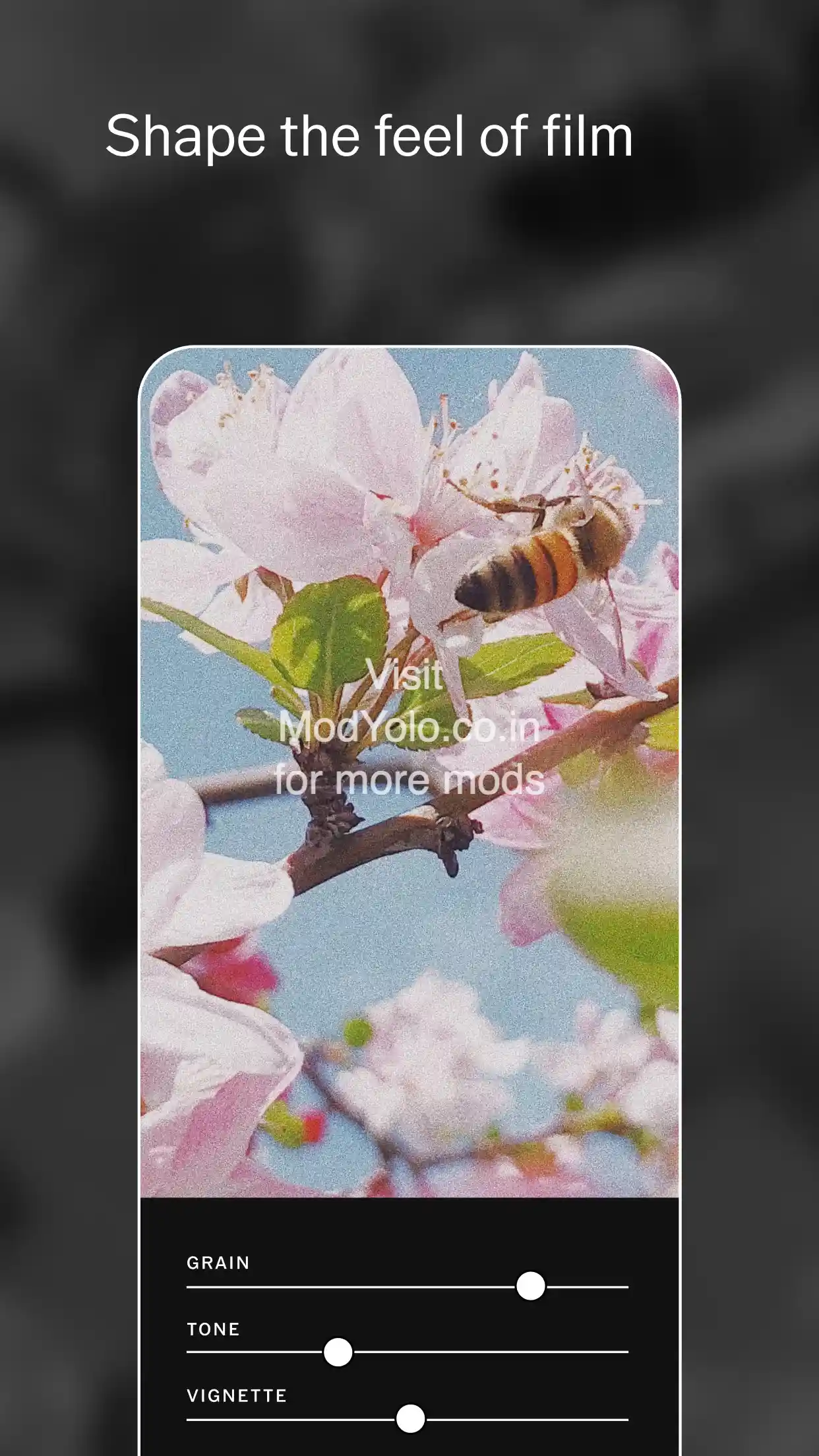 VSCO MOD APK No Watermark