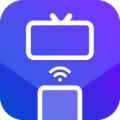 Castduo Screen Mirroring Tv.png