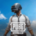Pubg Mobile.png