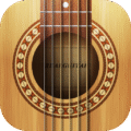 Real Guitar Acoustic Electric.png
