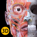 Anatomy 3d Atlas.png