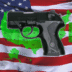 Ccw Concealed Carry 50 State.png